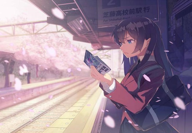彩神网